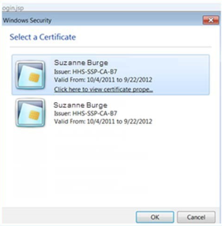 Select a Certificate pop-up window